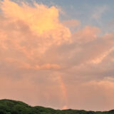 桜坂で見た虹、ひまわりが咲く夏頃に幸運が到来か…