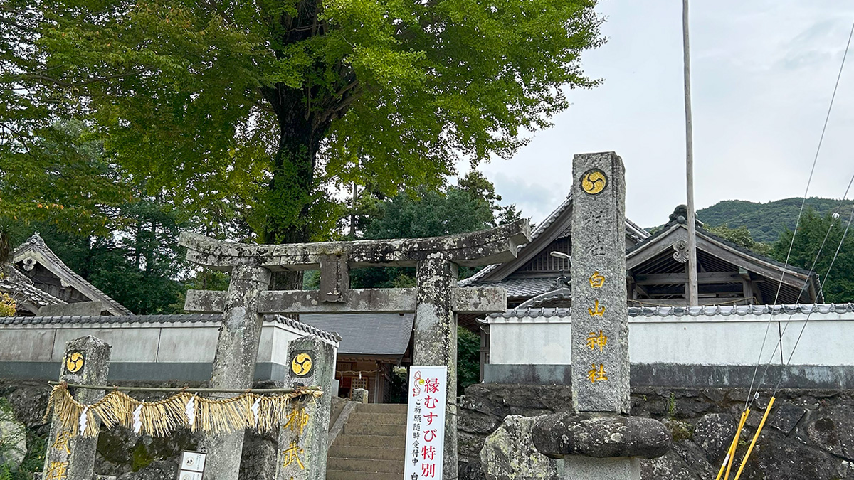福井白山神社、糸島の自然と歴史を感じる癒しの場所へ