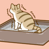 ニャンとも清潔トイレ 猫用システムトイレ シンプルタイプ