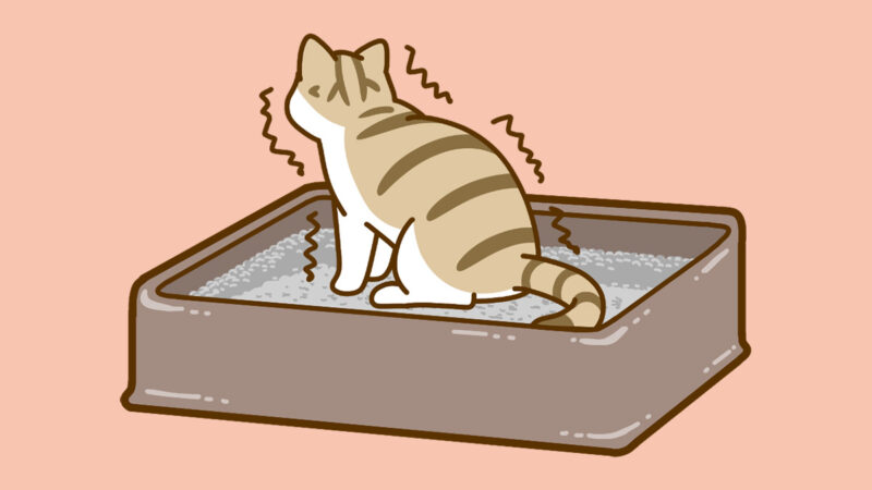 ニャンとも清潔トイレ 猫用システムトイレ シンプルタイプ