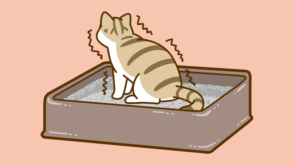 ニャンとも清潔トイレ 猫用システムトイレ シンプルタイプ