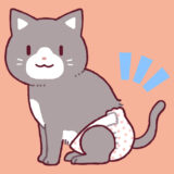 猫用おむつ「ユニ・チャーム マナーウェア」を使ってみた感想