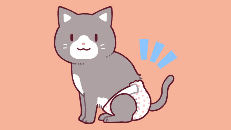 猫用おむつ「ユニ・チャーム マナーウェア」を使ってみた感想