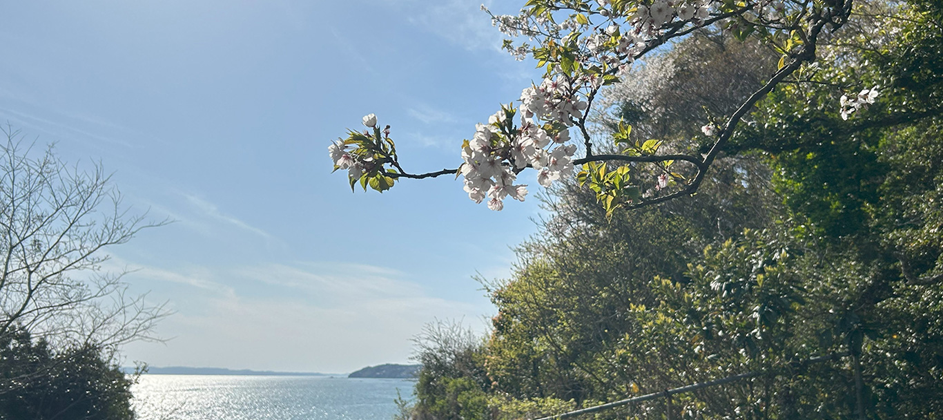 加布里公園、糸島で花の便りが聞かれる頃