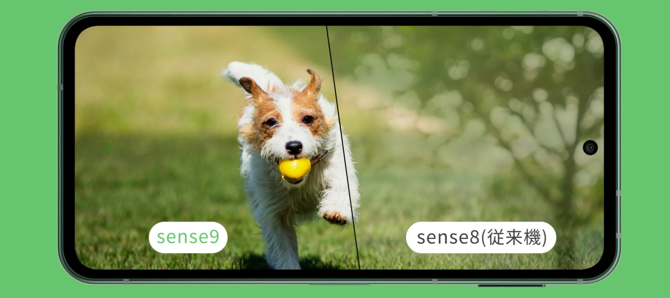 AQUOS sense9 コンパクトボディ